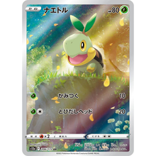 Turtwig S12A 206/172 AR