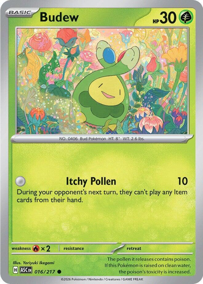 Budew ASC 016/217 Common
