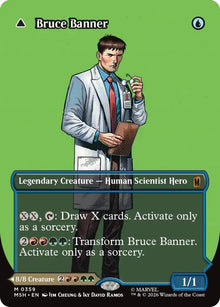 Bruce Banner Borderless 0359 MSH 359 M