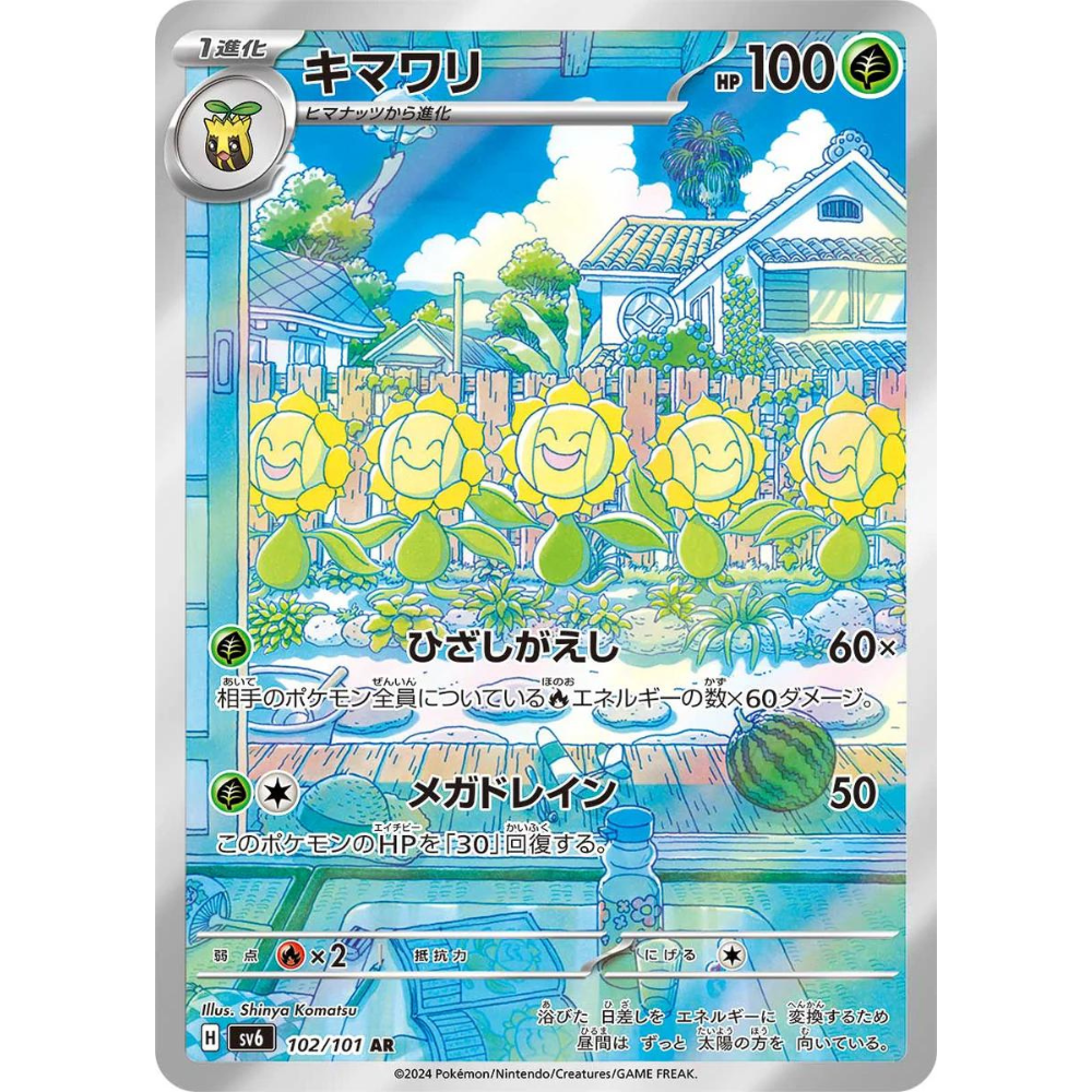 Sunflora SV6 102/101 AR