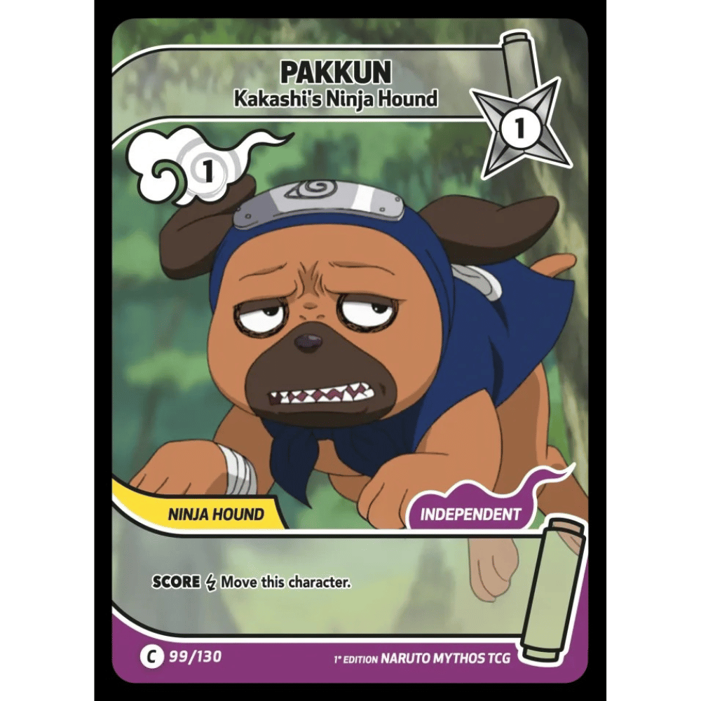 Pakkun 99/130 C (2nd)